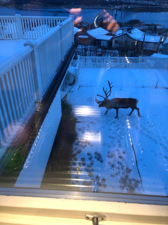 Moderne Og Trivelig Leilighet, Med Unik Utsikt Tromso Ngoại thất bức ảnh